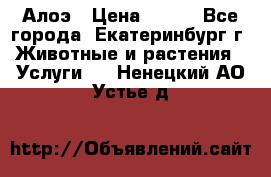 Алоэ › Цена ­ 150 - Все города, Екатеринбург г. Животные и растения » Услуги   . Ненецкий АО,Устье д.